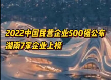 2022中国民营企业500强公布，湖南7家企业上榜
