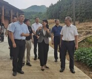 省统计局来涟调研