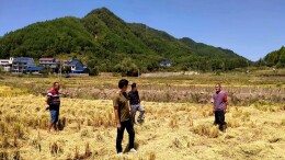 泸溪县毛茂田村：坚持“四个到位”严防森林火灾