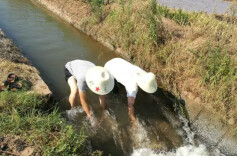 水利干部深入田间助抗旱