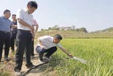 刘志刚:抓紧抓实抗旱保水和森林防火各项工作