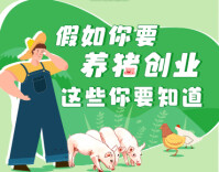政策简读丨假如你要养猪创业 这些你要知道
