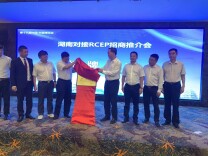 湖南异地商会联合会东盟联络办揭牌成立