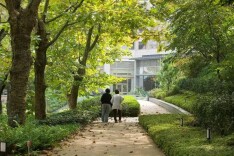 我国将加快建设一批举步可达安全健康的社区养老服务设施