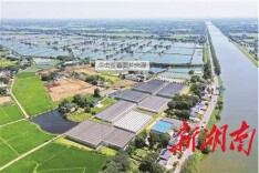 喜迎二十大丨科技支撑，书写新“山乡巨变”