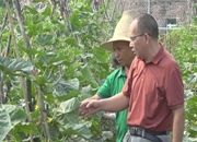 援外8年的农技专家唐仁开