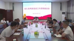 王洪灿调研两新党建工作