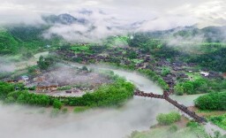 稻花香里说丰年┃游千年古镇·赏土家风情