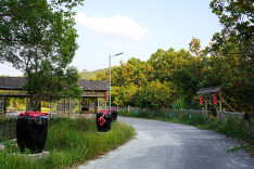 詹桥镇：百年酒乡醉游人 文旅融合兴乡村