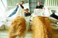 农发行韶山市支行今年首笔秋粮收购资金投放到位