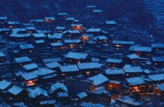 稻花香里说丰年┃游梯田王国 赏紫鹊奇观