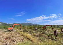 安江镇：打出耕地恢复“组合拳” 严守耕地保护红线