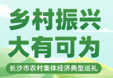 专题丨乡村振兴 大有可为——长沙市农村集体经济典型巡礼