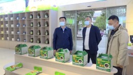 县领导调研疫情防控、农村客货邮融合发展等工作