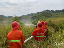 韶山市杨林乡：织密“三张网” 筑牢森林“防火墙”