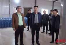 县领导调研矿泉水厂投产运行工作