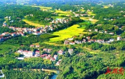 岳阳经开区：青山绿水风景美 三农发展产业兴