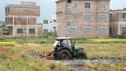 江华：“冬闲田”变“农忙田”  油菜育苗正当时