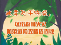 应急科普丨关于森林火灾，我们能做些什么？