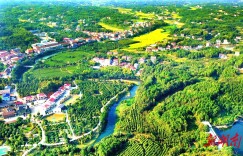 经开区西塘镇：强化党建引领 助推乡村振兴