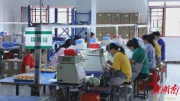 安仁“万企兴万村”跑出乡村振兴加速度