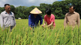 瑶珍粮油：层层把关 让群众吃上“放心米”