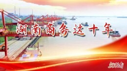 湖南商务这十年 | 外经：湖南高水平“走出去”步伐强劲   助推“一带一路”走深走实