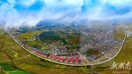 湾头桥镇：美丽院落“丰”景如画 特色产业穰穰满家