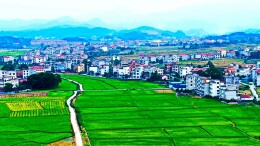 龙溪镇：云山脚下铜鹅肥 振兴路上产业兴