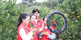 湖南举办消费帮扶营销大赛 近20万人报名参加