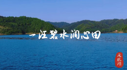 “守护幸福河湖”短视频大赛湖南作品展播㉚一汪碧水润心田——记衡南县双板桥水库