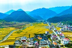 玉屏村：稻香流水景如画 仓满鱼肥话振兴