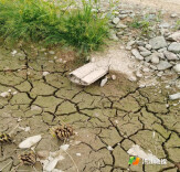 洪江市：竹管变涵管 涝地变良田 ——一条路、一道渠、一根管都是村民的心头事