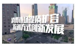 消费市场提质扩容 流通方式创新发展