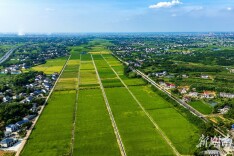 东塘镇：缤纷农旅 五彩乡村