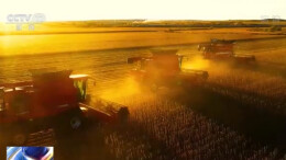 农业农村部：全国秋粮已收获超11亿亩