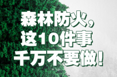 森林防火，这10件事千万不要做！