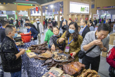 农业装备“鸟枪换炮” ——“农博会”观察之二