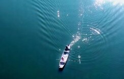 秋之盛宴，相约2022中国（汉寿）甲鱼产业大会