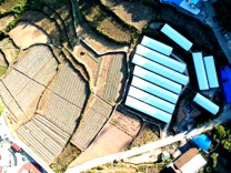 泸溪县小章乡大水坪村：“小菌棒”接力续写乡村振兴