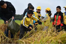 践行项目式学习，打造特色优秀班级