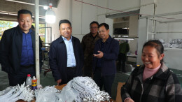 蔡富强赴何家洞镇调研督导森林防火、乡村振兴、产业发展等工作