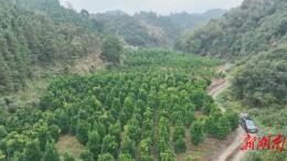 赤滩村：农旅融合跑出乡村振兴“加速度”