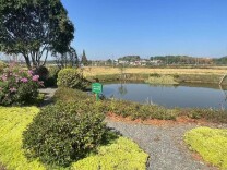 长沙县：群众参与治理 扮靓水美乡村