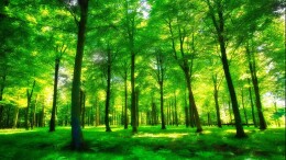 李基联到乡镇督导检查疫情防控、道路交通安全、森林防灭火等工作