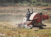 “秸”尽其用 经济生态获多赢