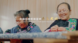 《精准扶贫的力量》第三集