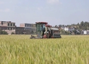 夯实现代农业基础 提升农田生产效益