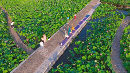 “守护幸福河湖”短视频大赛湖南作品展播（55）南岳区幸福河石子江