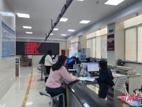 岳阳经开区：贴心“帮代办”服务获企业赞誉